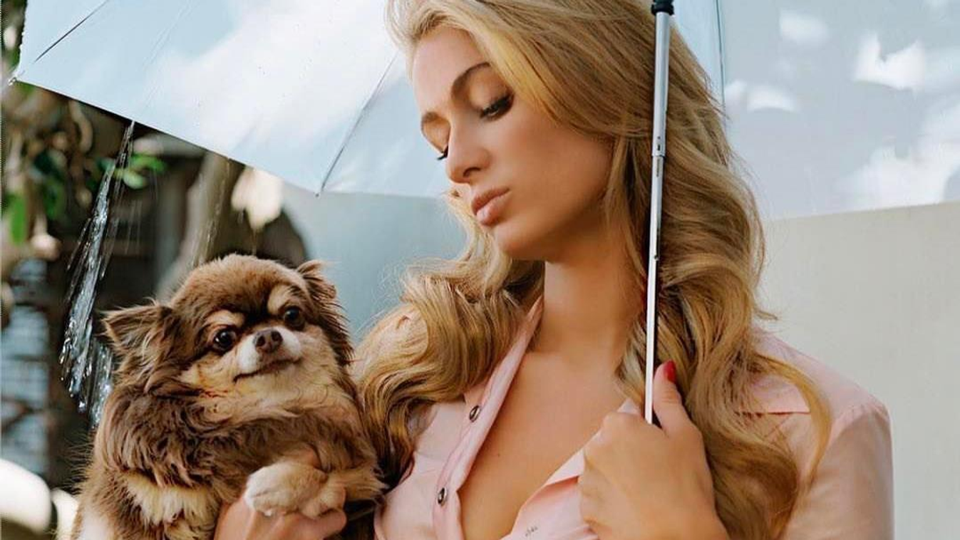 Paris Hilton Sztárok, akik túltolták a luxust 