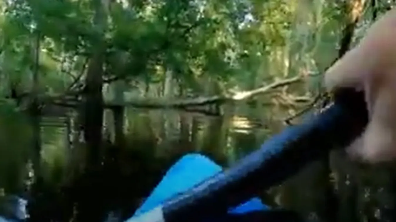 aligátor támadás kajak Észak-Karolina 