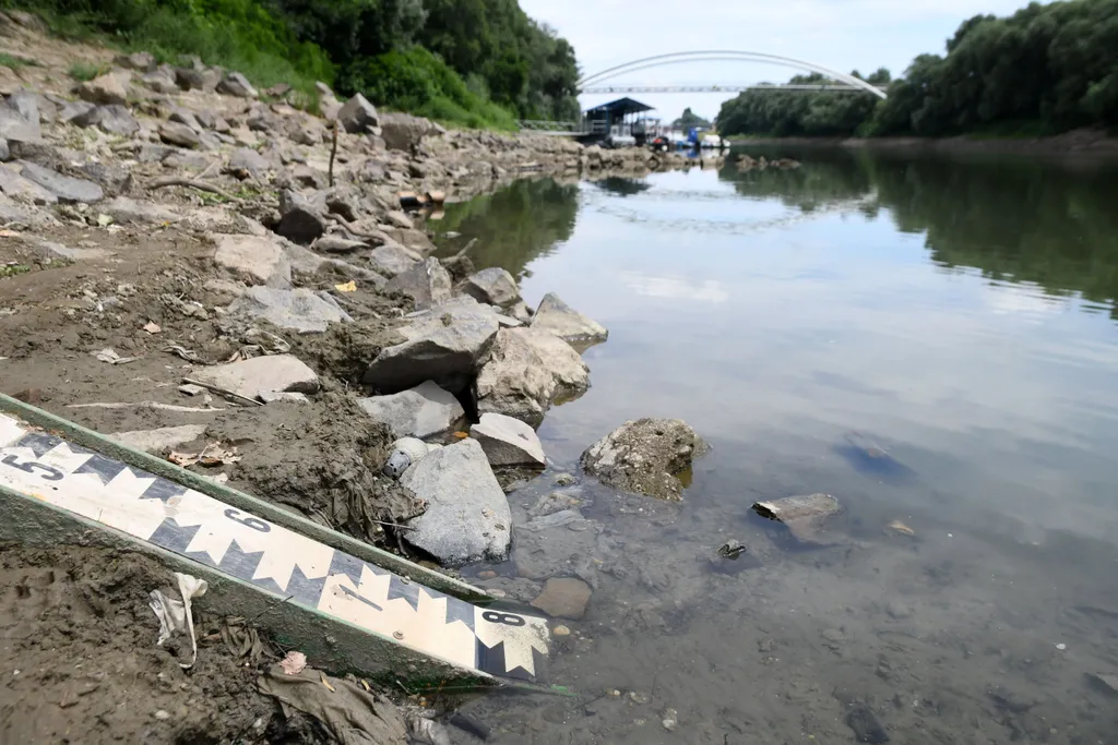 FOLYÓ folyópart Tisza TÁJ 	Nagyon alacsony a Tisza vízállása 