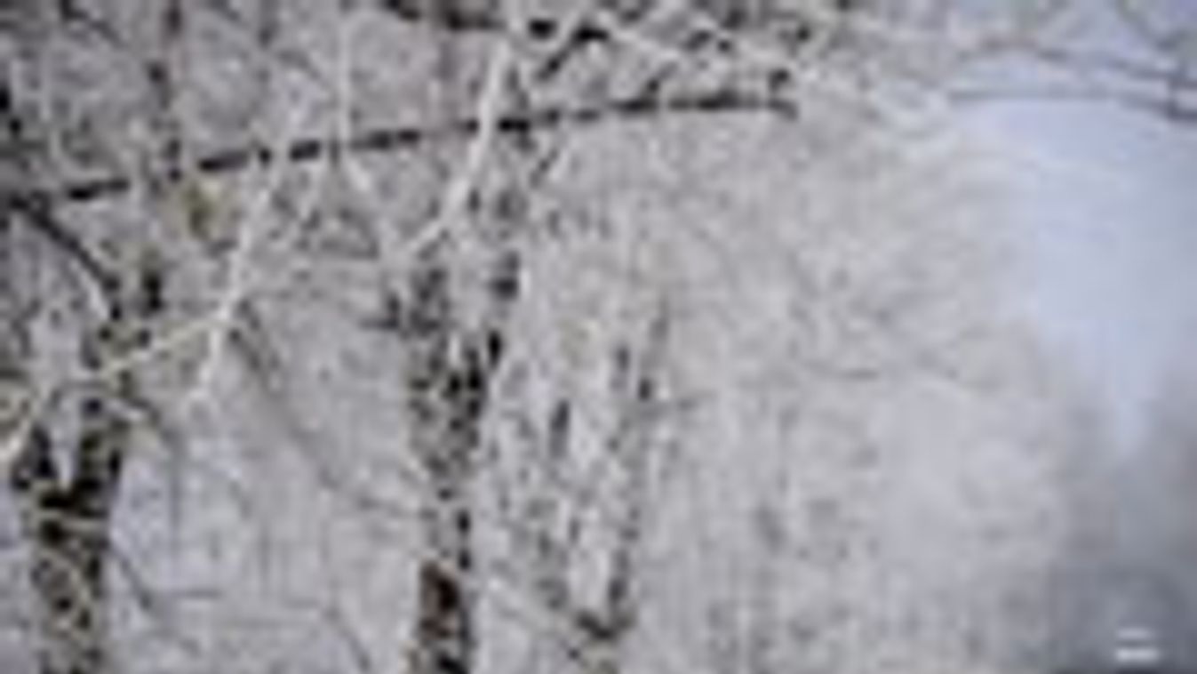 tél, hó, hideg időjárás, Zúzmarás fák között halad egy terepjáró Debrecen határában