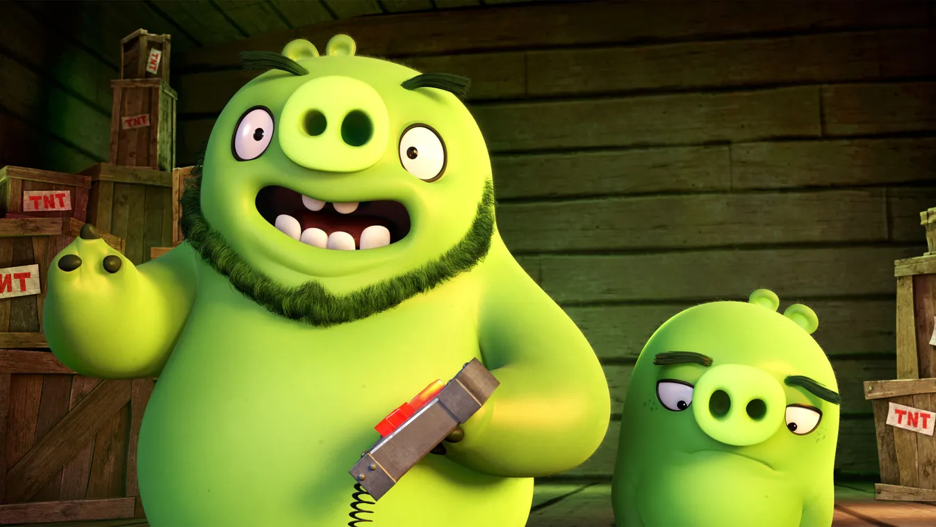 Prosztó, tanyasi zöld malacok az Angry Birds című filmben 