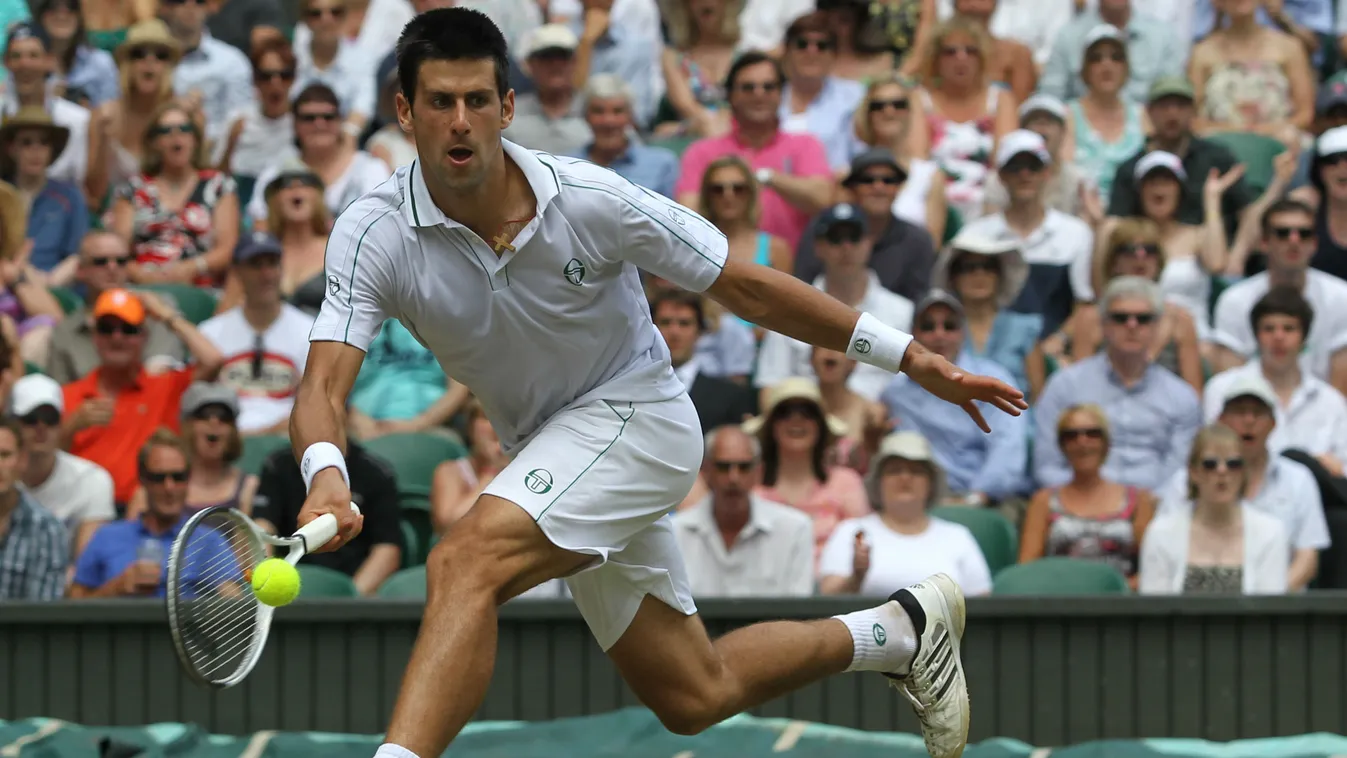 Novak Djokovic, tenisz, Wimbledon 