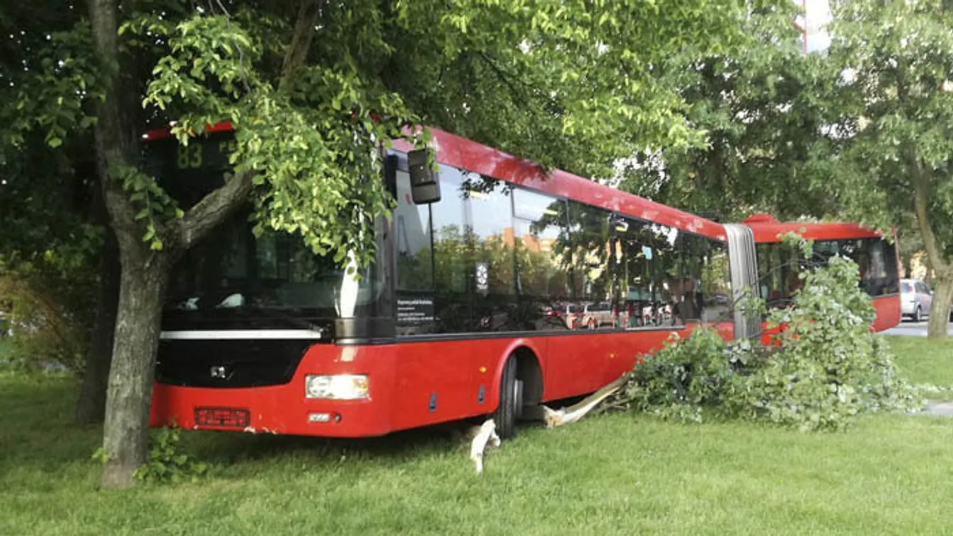 Pozsonyban elszabadult busz 