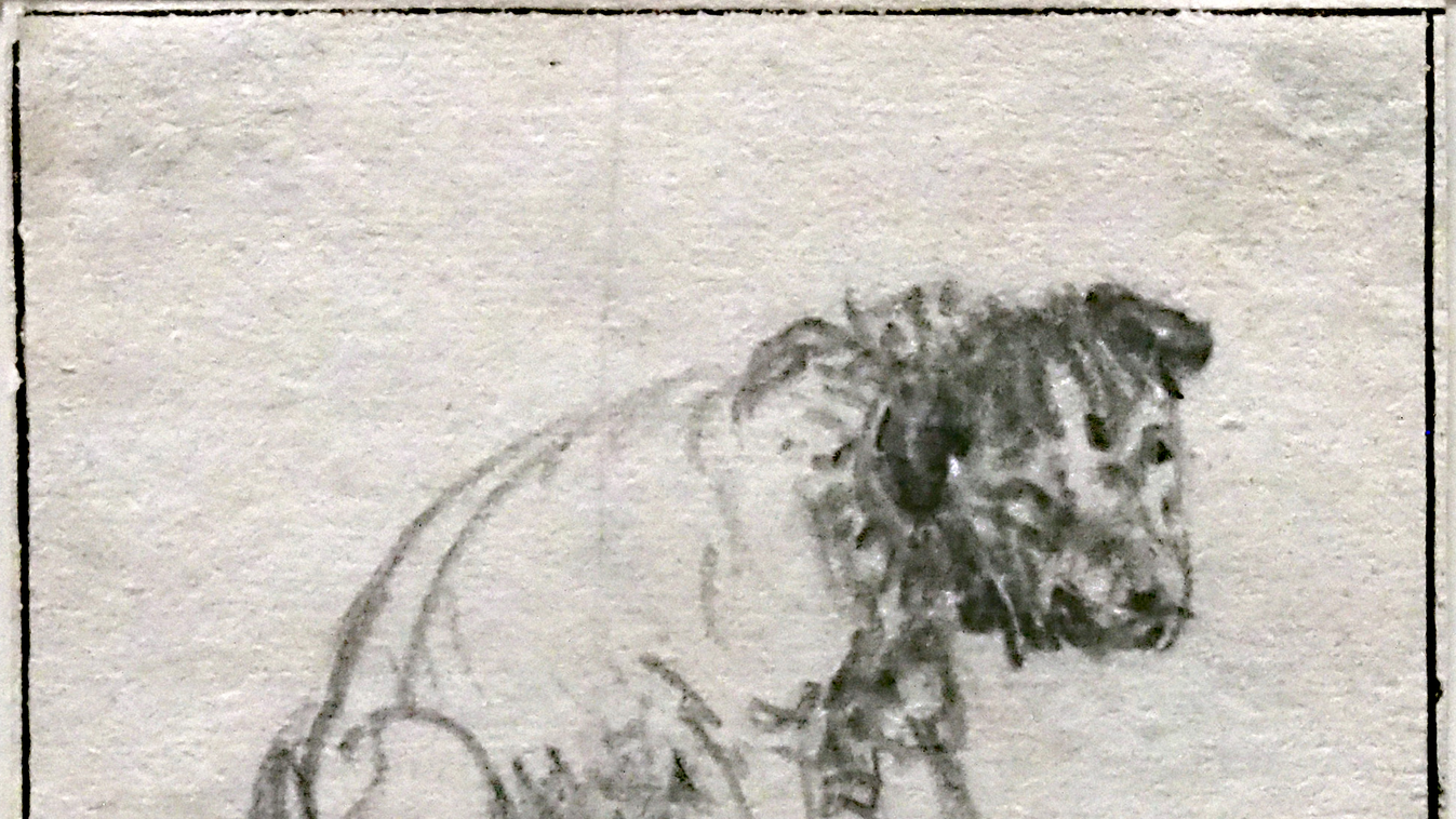 Rembrandt ART An animal sketch that has been attributed to the Dutch Baroque artist Rembrandt van Rijn (1606-1669) according to new findings at the Anton Ulrich-Museum in Braunschweig, Germany, 14 February 2017. The piece was noticed during systematic dig