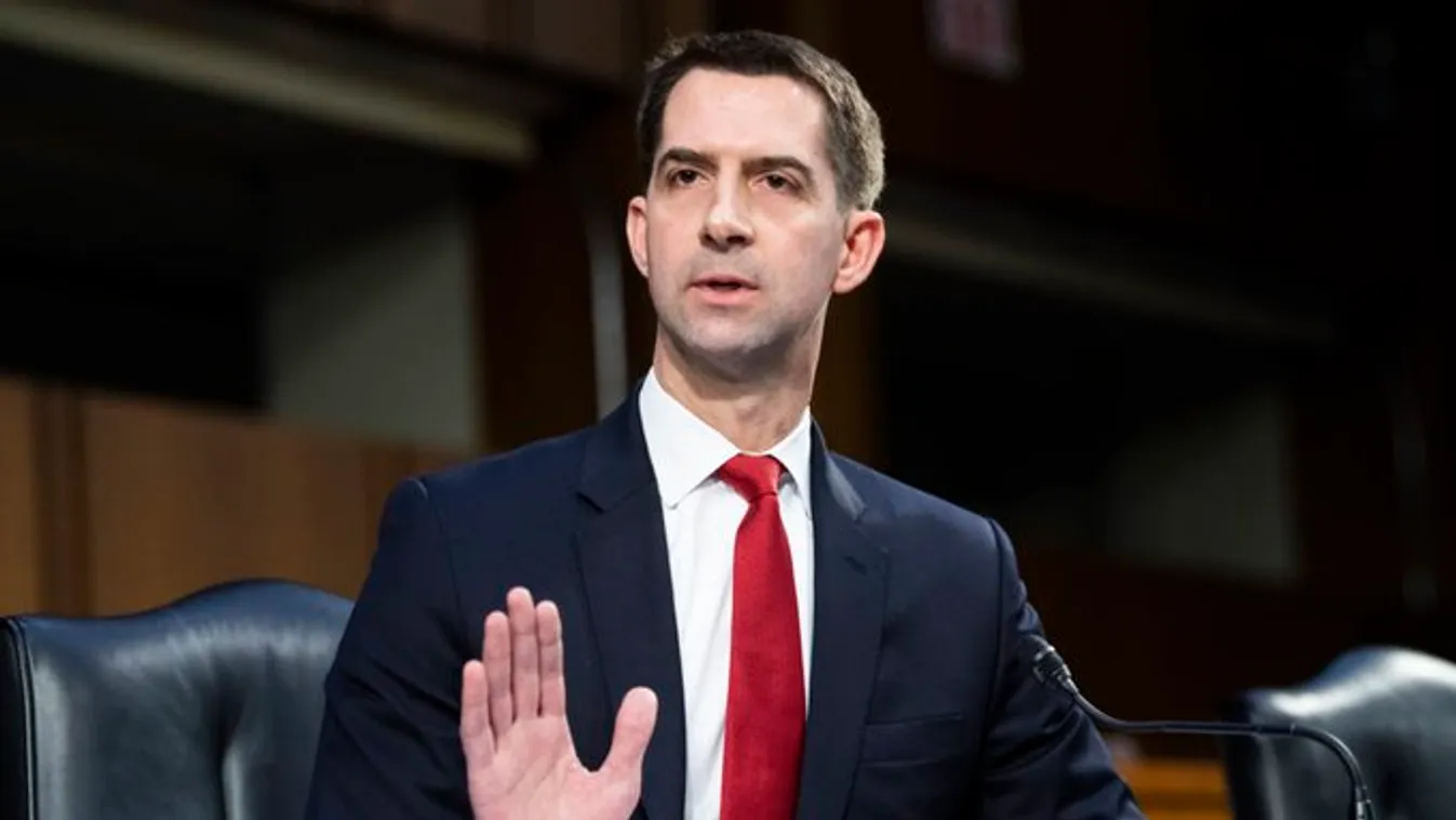 Tom Cotton 