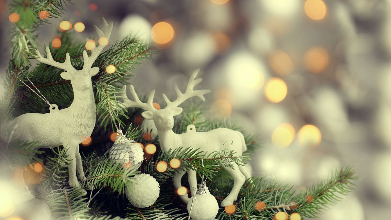 Karácsonyi illatok nélkül nincs ünnepi hangulat fenyőfa karácsonyfa dekoráció 