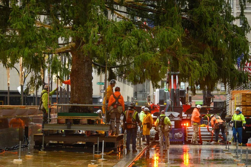 79-foot Christmas Tree Arrives In New York City's Rockefeller Center NurPhoto General news November 13 2021 13th November 2021 Rockefeller Plaza Trees Horizontal, Karácsonyfa 