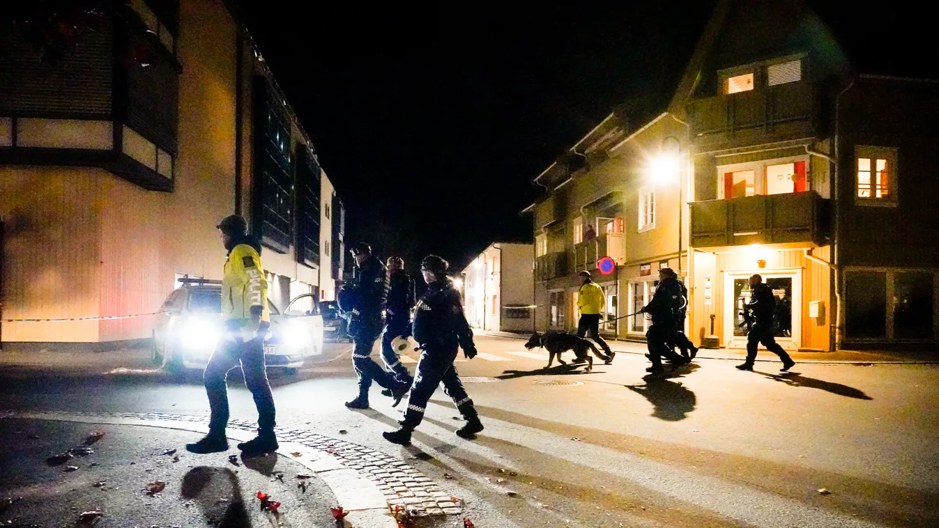 Police action in Kongsberg BNC police crime Horizontal 