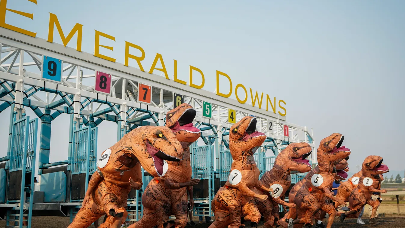 T-rex világbajnokság, Emerald Downs, galéria, 2023 