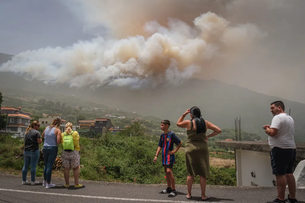 Wildfires in Spain Forest fire,Las Llanadas,Spain,Tenerife,wildfire Horizontal erdőtűz pusztít Tenerife 