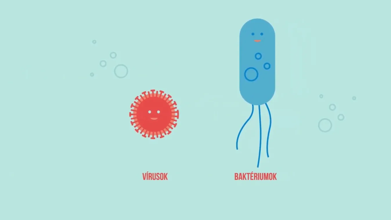 Klinikaland, vírus vs baktéirum 