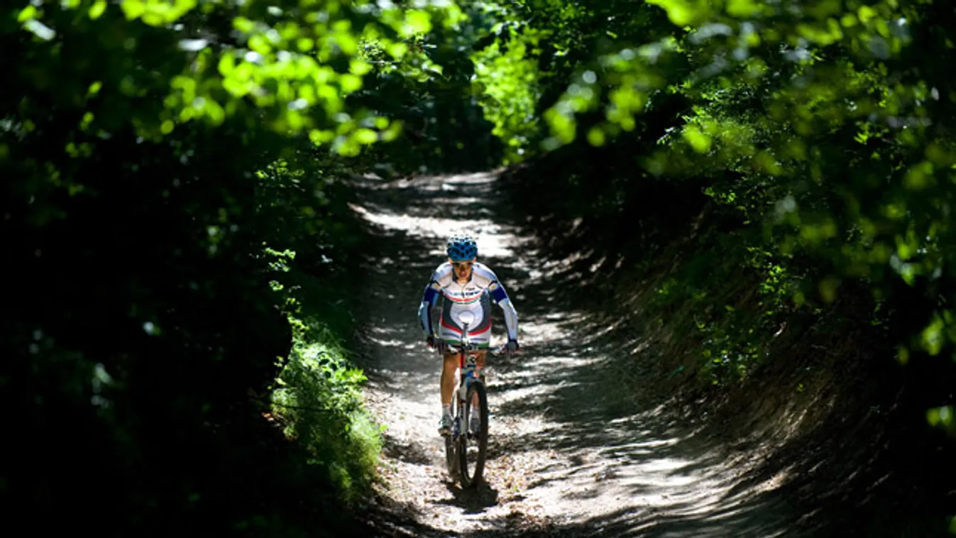 Parti András a londoni olimpiára kvótát szerzett hegyikerékpár-versenyző edz a budai hegyekben
