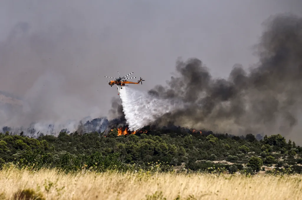 tűzoltó tomboló erdőtűz Görögország 