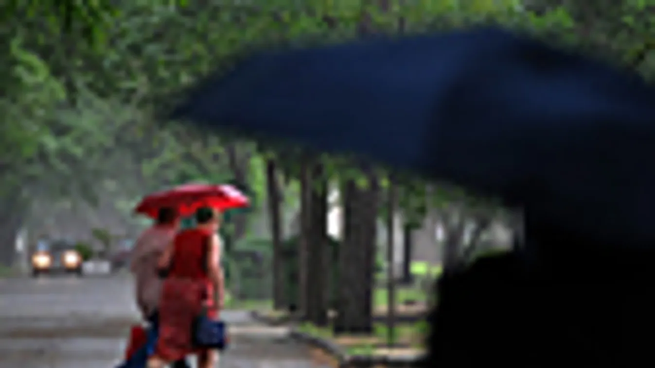 meteorológia, járókelők esernyővel a záporban a Fiumei úti Nemzeti Sírkertben, időjárásjelentés-adó, médiaadó