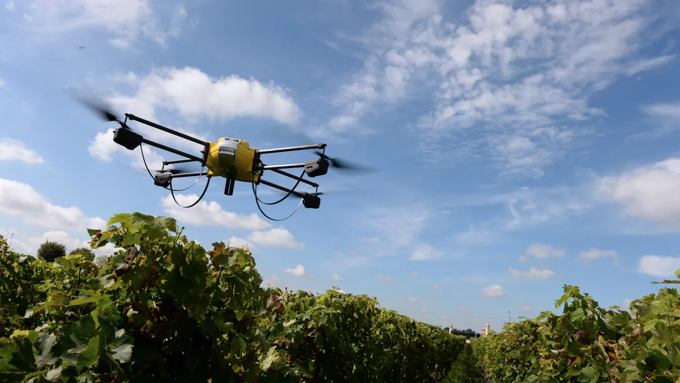 mező app
drón repül a bokrok felett 
