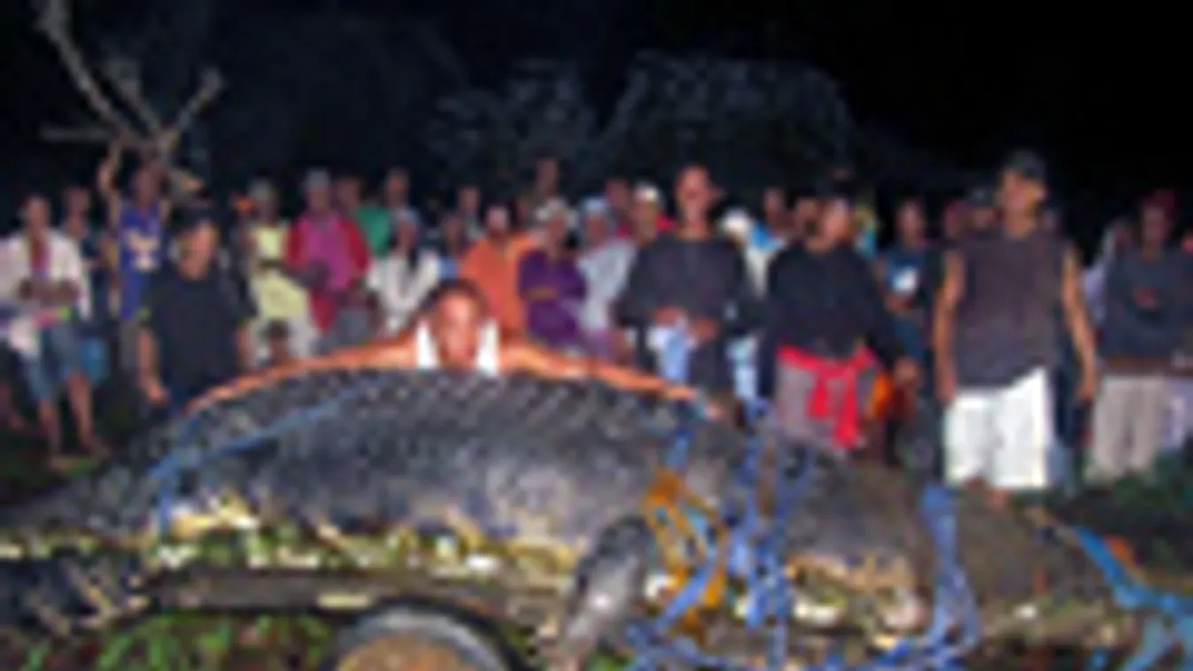 Óriás krokodil, Fülöp-szigetek