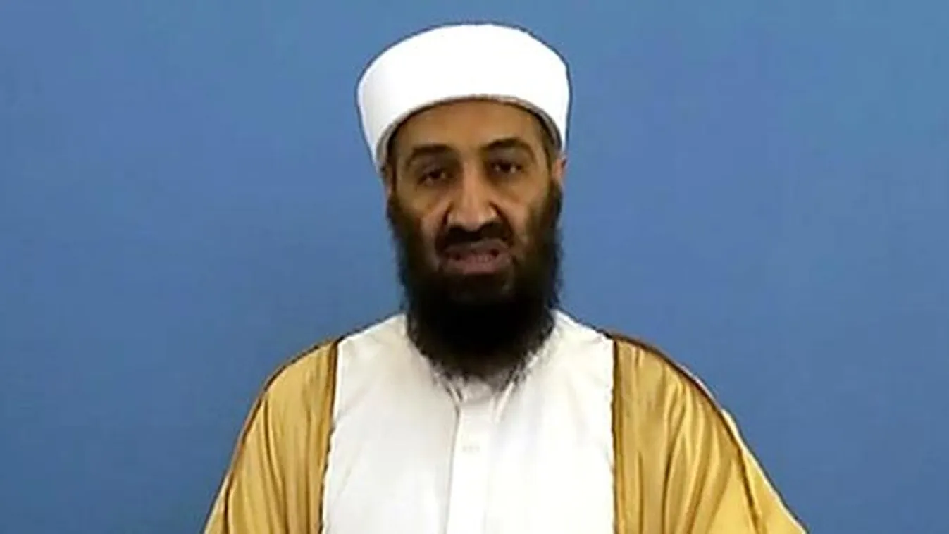 2011 politikai bukásai, Oszama bin Laden, Al Kaida 