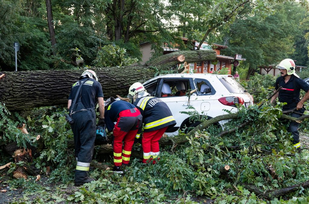 Nyíregyháza, 2021. augusztus 1.
Autóra borult fákat távolítanak el vihar után Nyíregyházán, a Sóstói úton 2021. augusztus 1-jén.
MTI/Balázs Attila 