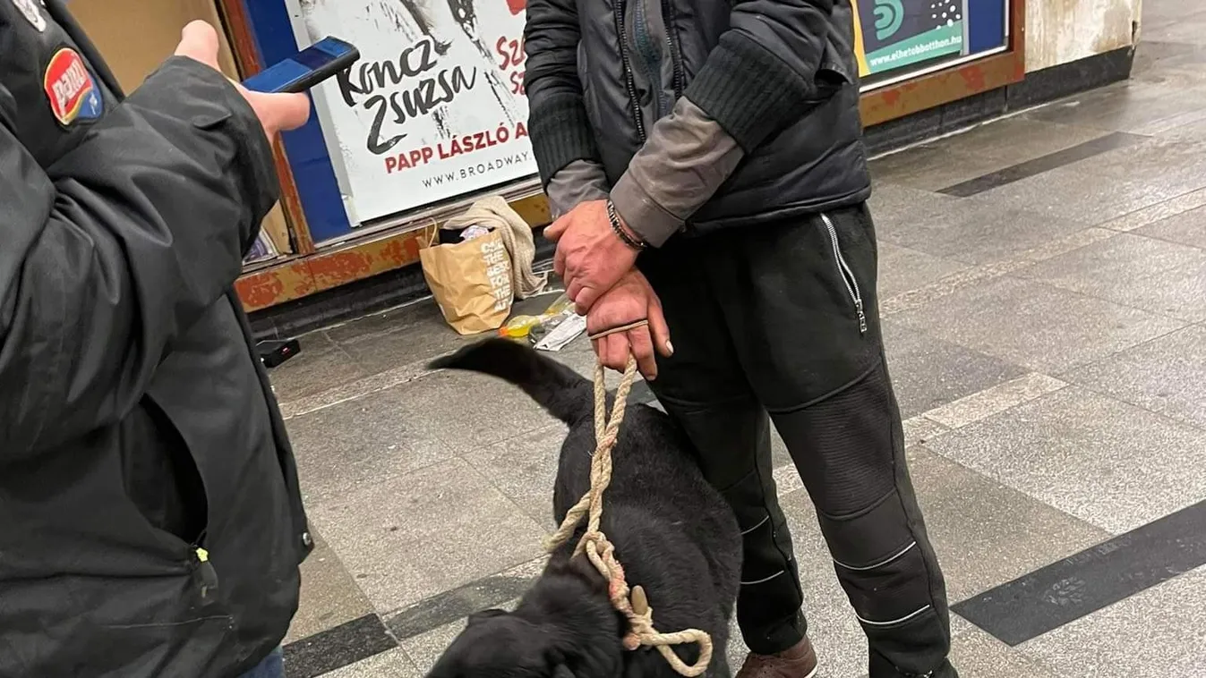 állatkínzó kutya Blaha Lujza tér 