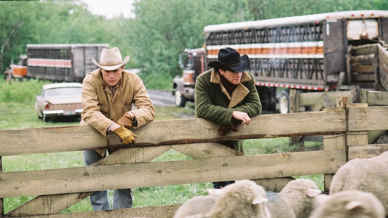 Brokeback Mountain Cinema MAN men COWBOY cowboy hat ANIMAL SHEEP FENCE HERD flock 