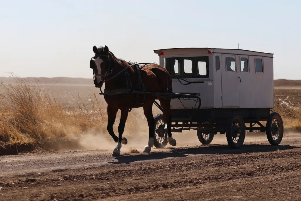 mennoniták, Sabinal, Mexikó 