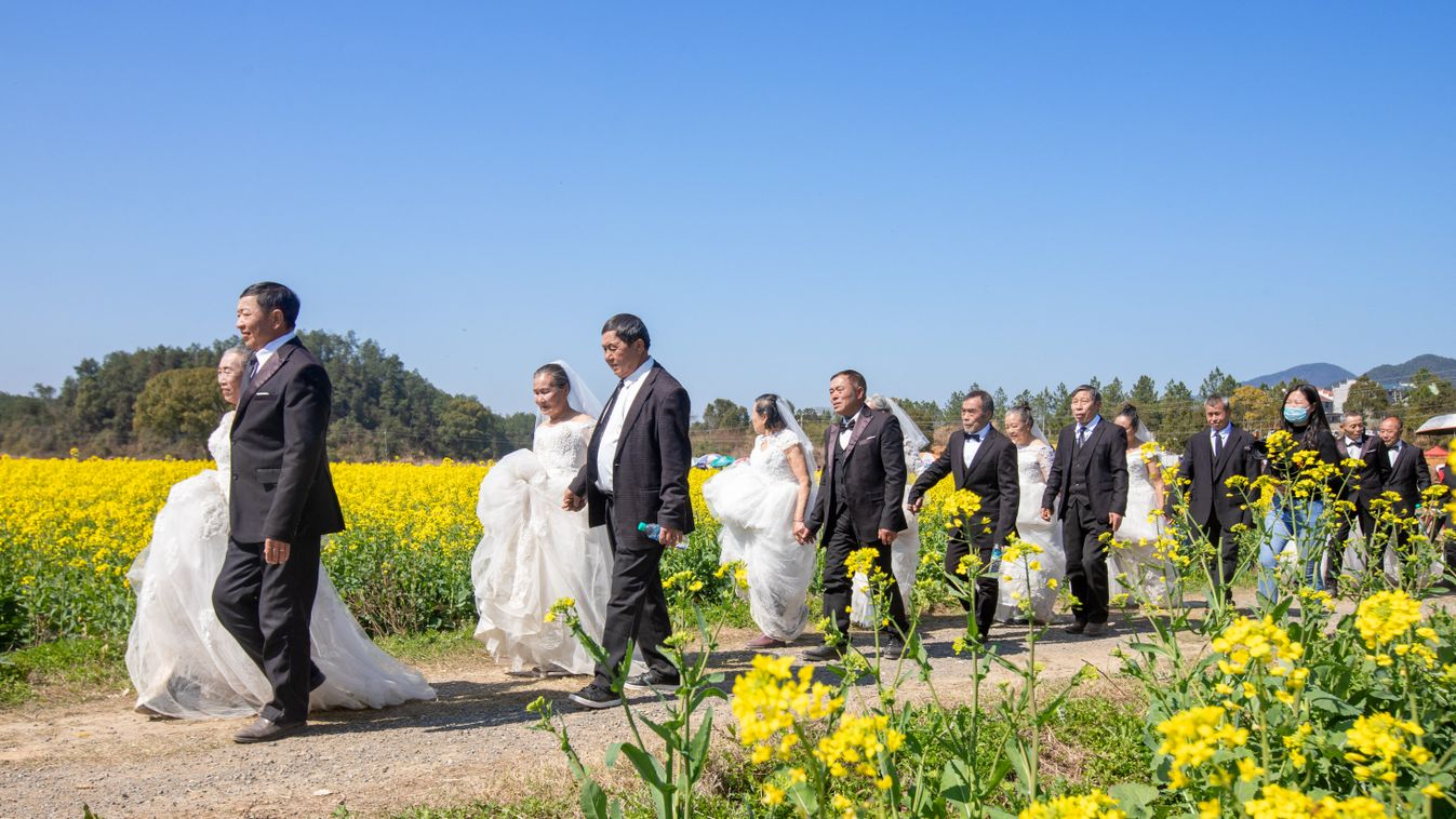 Golden wedding couples take wedding photos in rape flowers filed in Jiangxi CHINA CHINESE Horizontal 