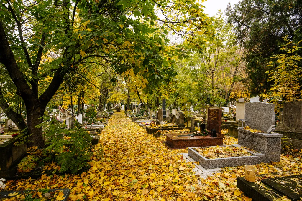 Farkasréti temető, illusztráció, halottak napja, mindenszentek, 2020.11.01. 