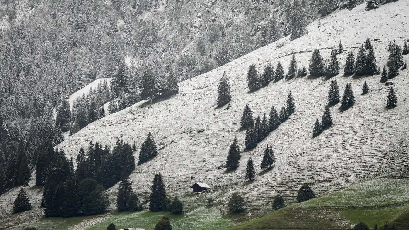 alpaka, tél ,svájc, hó,
weather Horizontal SNOW LANDSCAPE GENERAL VIEW ILLUSTRATION 