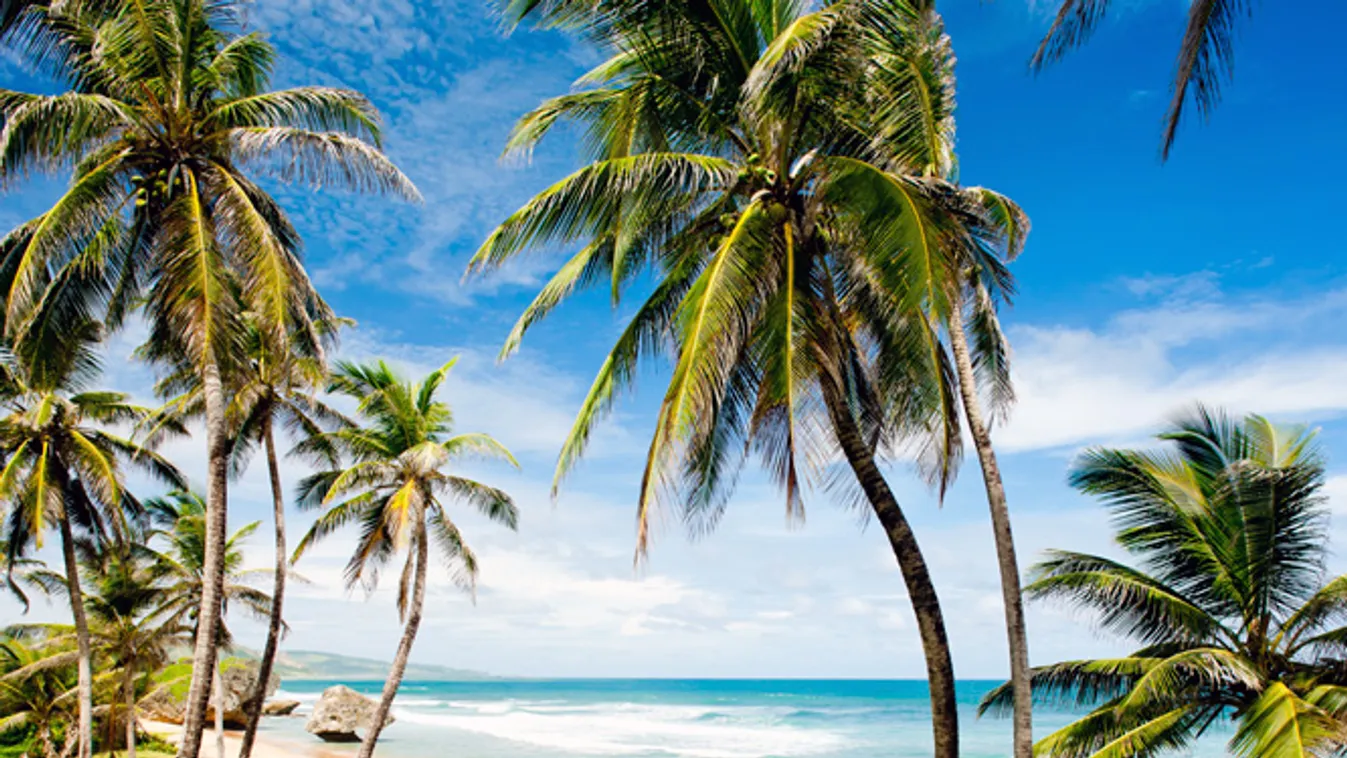 szórakozás, utazás, Álomvakáció a Karib-tenger gyöngyszemén: Barbados