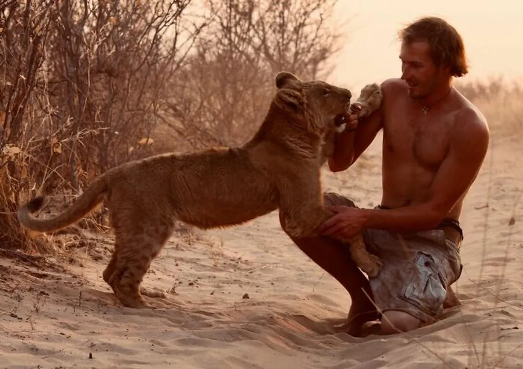 oroszlán, vad, vadon, afrika, vadmentés, állatvédelem, állatvédő, gondozó, barátság, barát, kötelék 