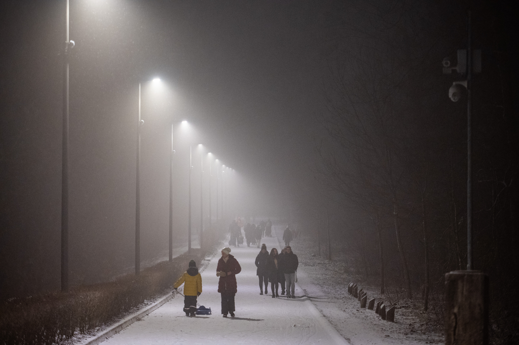 Havazás, Normafa, 2023. Január. 30., Hó, Budapest, Buda, 