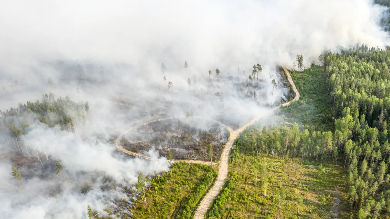 Russia Wildfires wildfire sky trees smoke Horizontal 