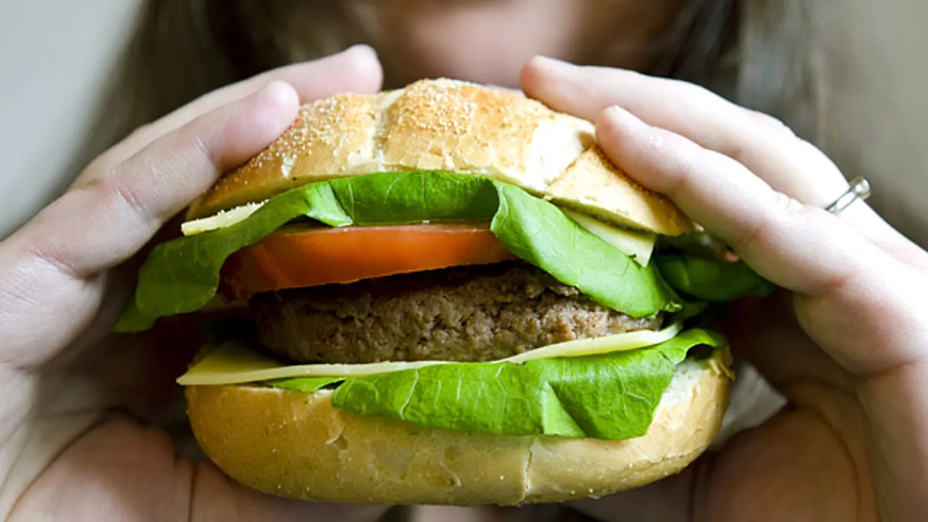 egészségtelen ételek, élelmiszer, hamburger