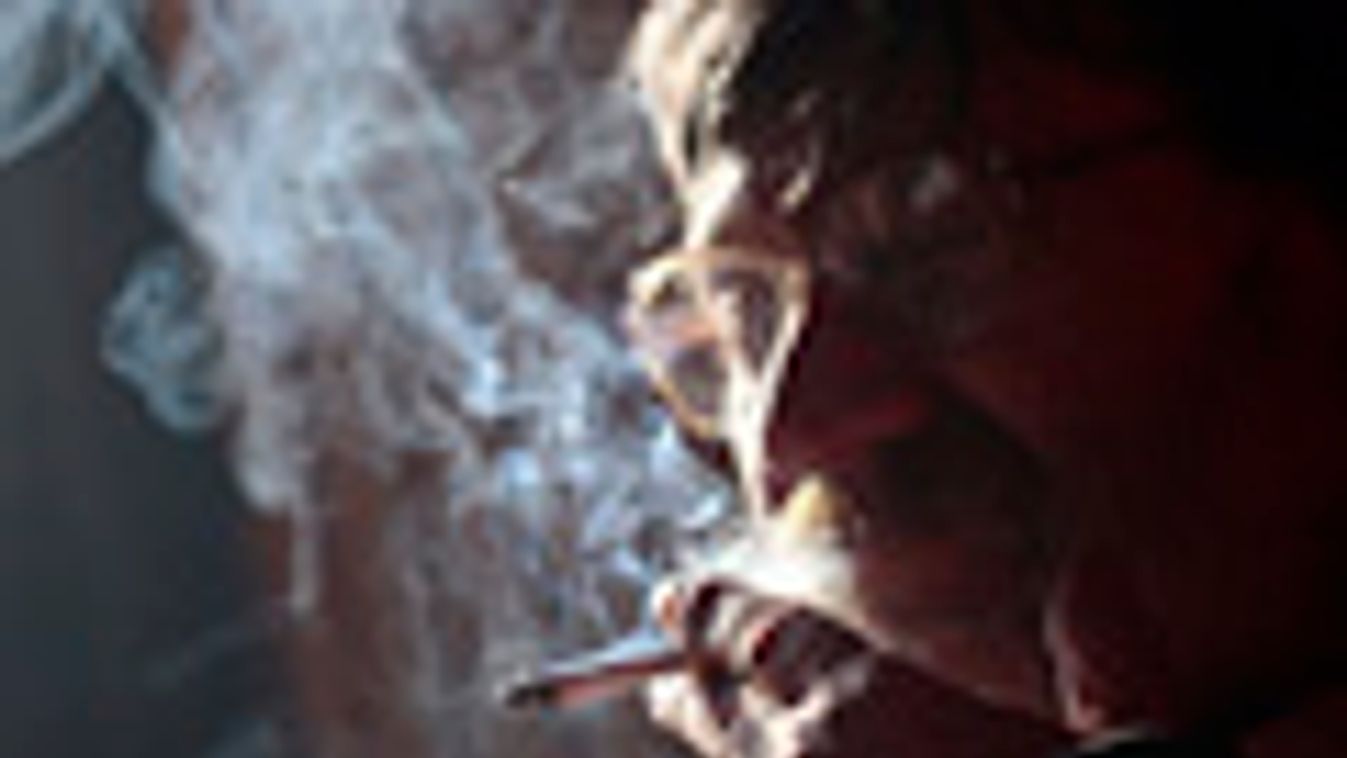  dohányzás, cigifüst, dohányfüst, cigaretta, betiltanák a dohányzást a vendéglátóhelyeken 