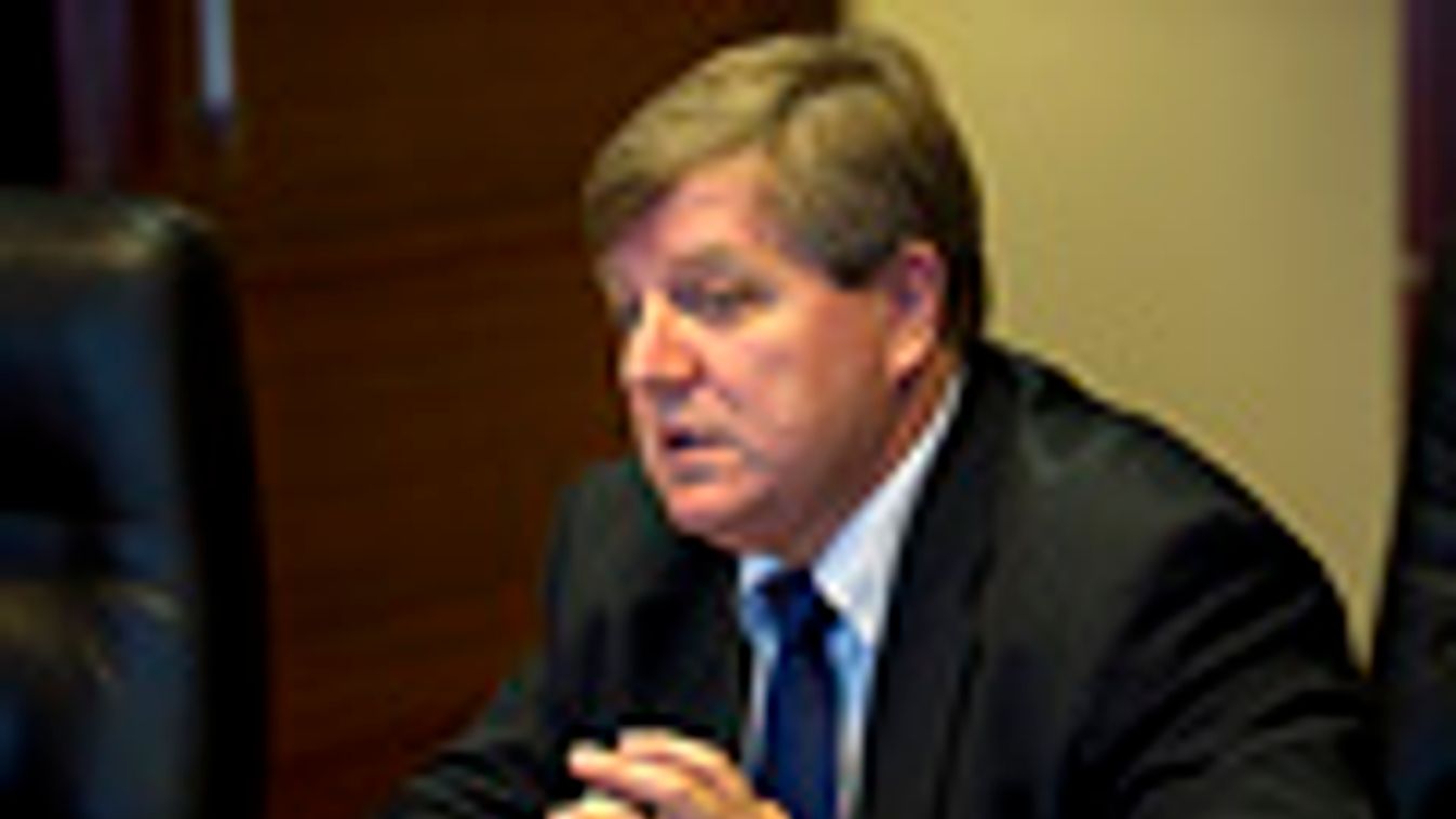 Stumpf István, alkotmánybíróság