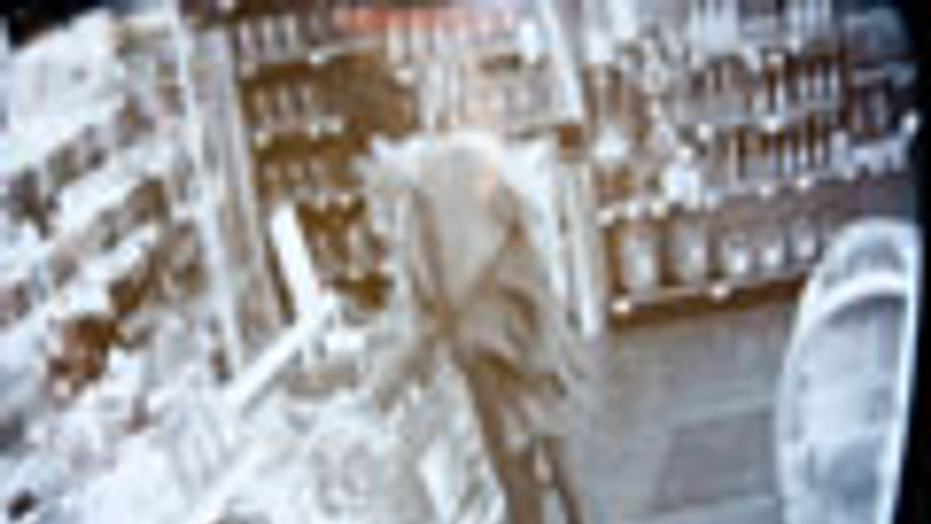 bolti lopások, biztonsági kamera felvétele