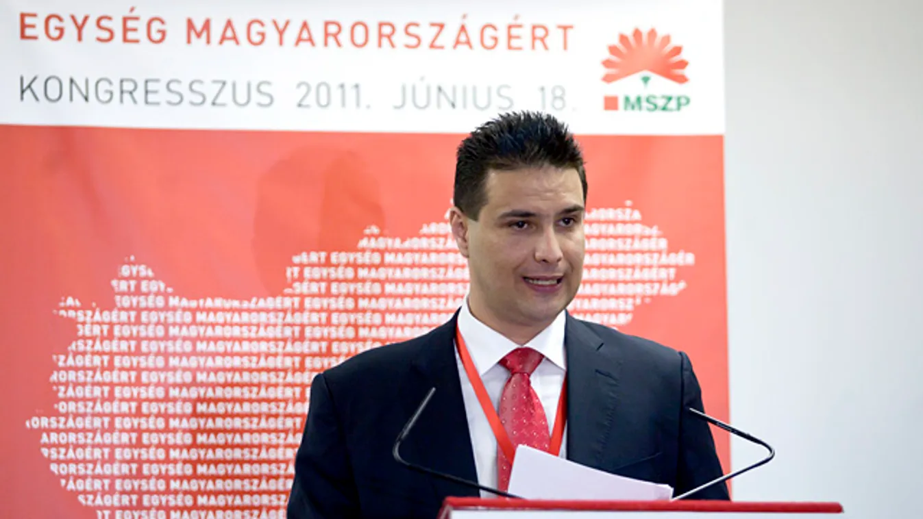 Egység Magyarországért MSZP kongresszus Budapesten, Mestreházi Attila