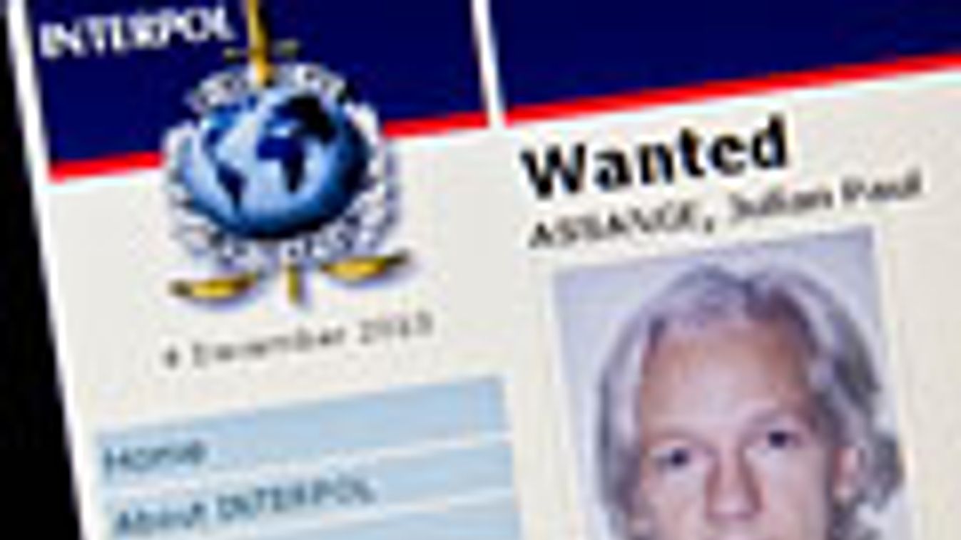 WikiLeaks, Julian Assange körözési fotója az Interpol honlapján