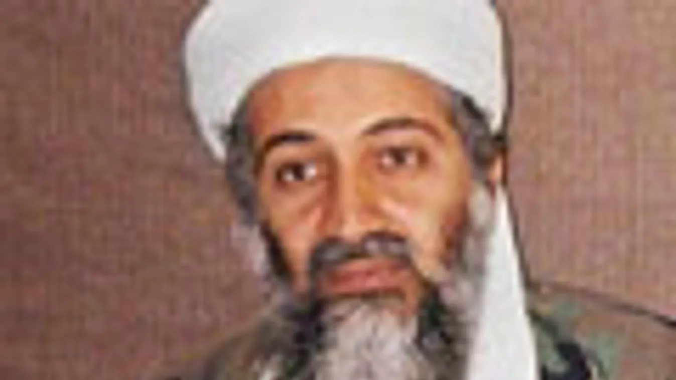 Meghalt Oszama bin Laden, Osama, Terrorizmus, 
