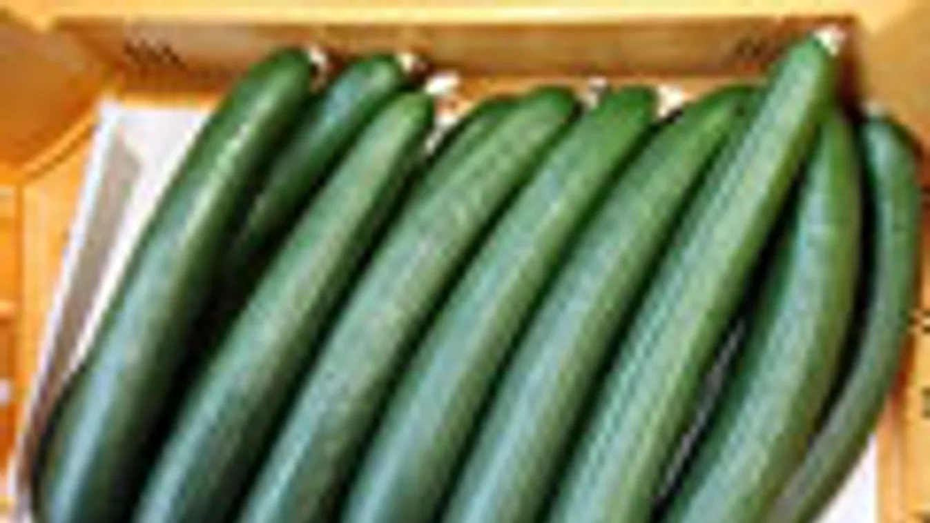 Hamburg környéki gazdálkodók uborkái egy hamburgi zöldségpiacon, Spanyolországból importált uborka, Escherichia coli, kólibaktérium, EHEC bélbacilus