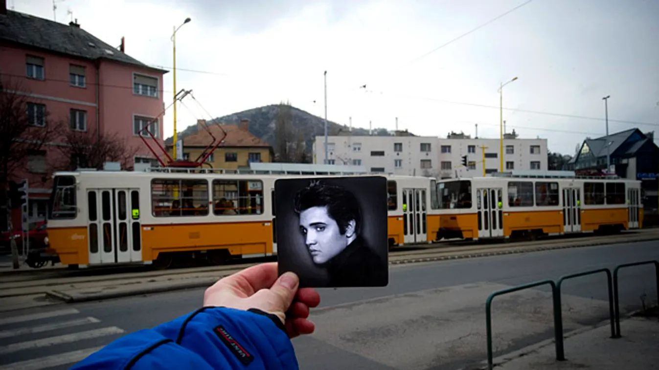 Elvis Presley tér, ÜN heti összefoglaló
