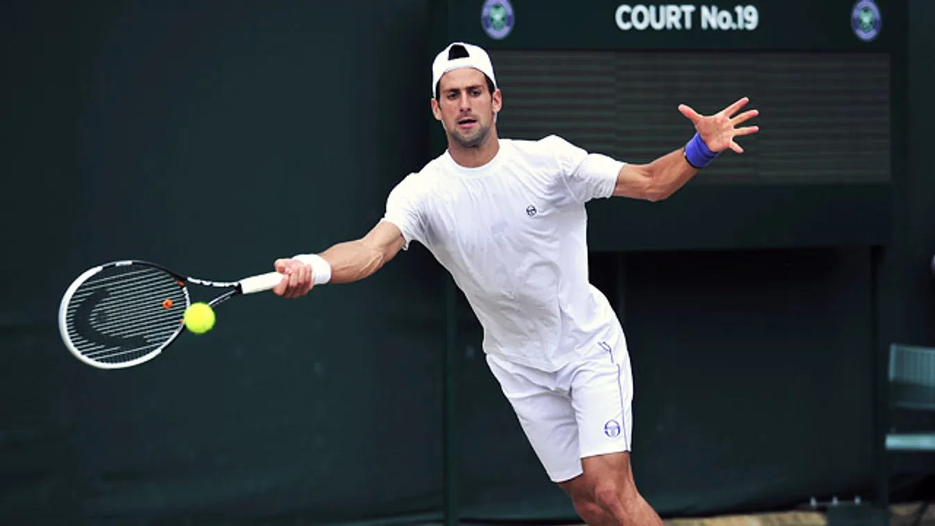 Novak Djokovic, Wimbledon Tenisz