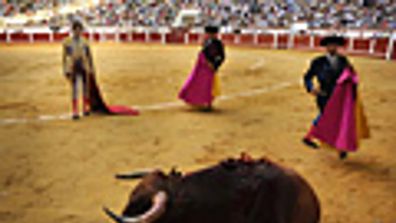 bikaviadal, Katalóniában megtiltották a bikaviadalokat, Barcelona, Jose Tomas a Leon Arénában