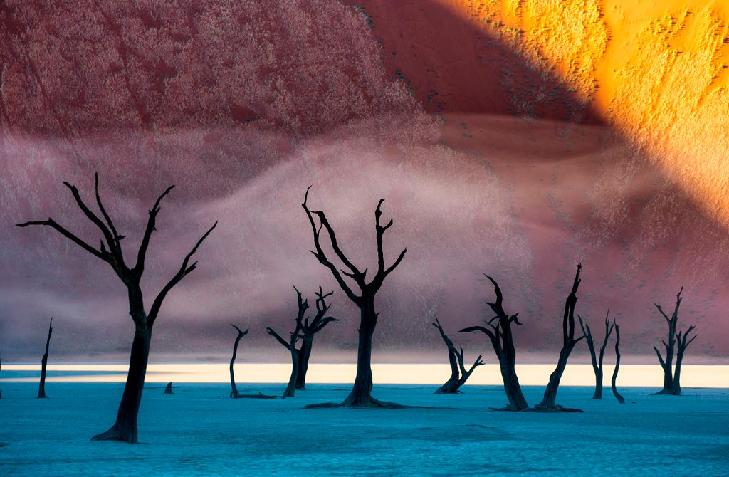 Halott fák a namíbiai Halott mocsárban (Deadvlei)