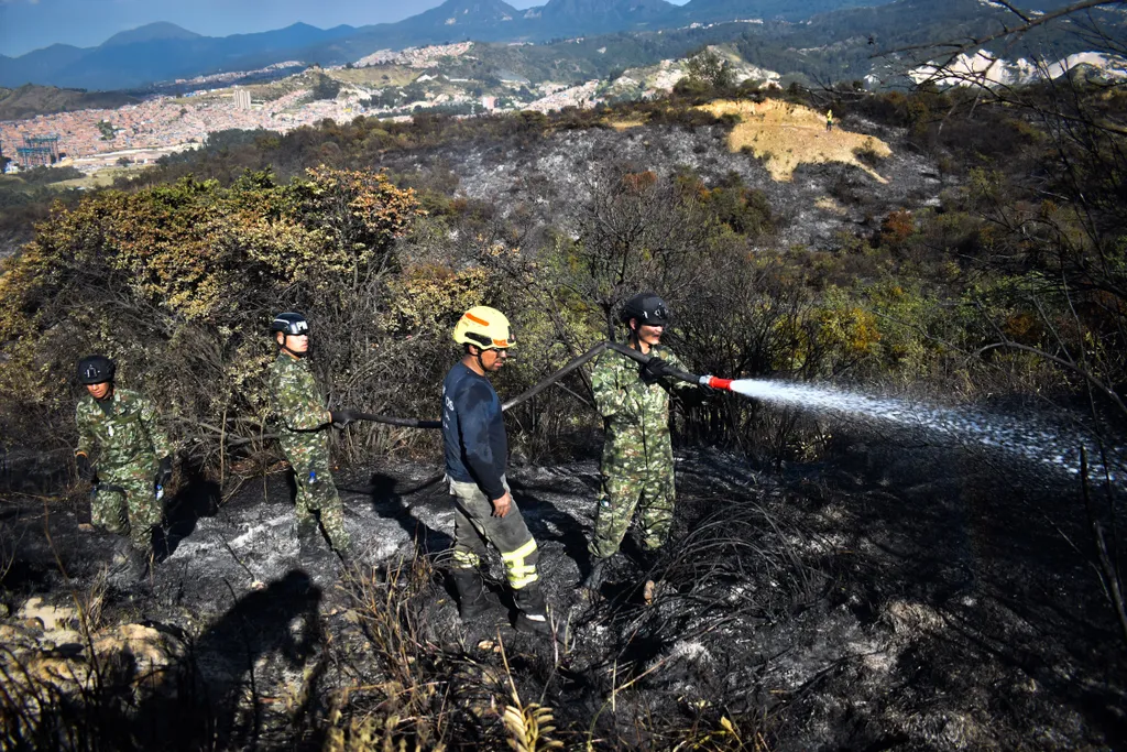 Kolumbia, erdőtűz, tűzoltó, 2024., 
 Colombia News - January 25, 2024 zwire zselect zagency ZUMA Press zumapress.com 