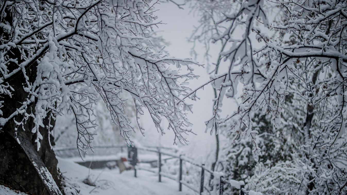 hó, hóesés, havazás, tél, december, időjárás, Budapest, 2023.12.07. 