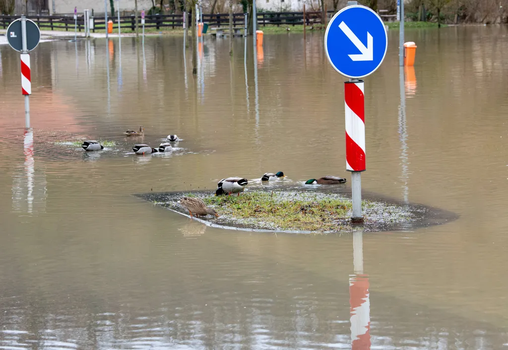 mező, németország, árvíz, Bajorország, katasztrófa, termőföld, víz, Vils folyó, Achldorf, Gaindorf, 2023. 12. 11. 