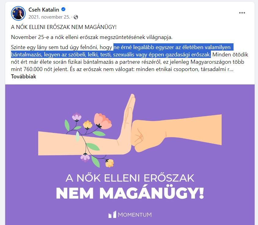 Cseh Katalin, nők elleni erőszak, bántalmazás