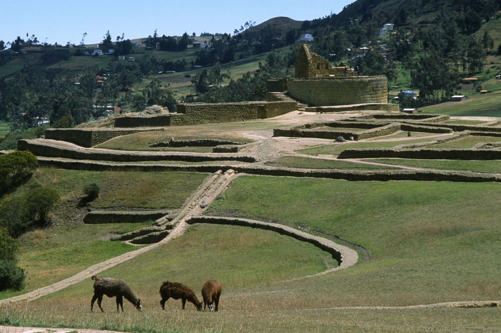 Ingapirca, Ecuador, romváros, 2024., columbian Art Religion Ruin Ruminant South America Spiritual Life Trip Ungulate Vertebrate Horizontal 