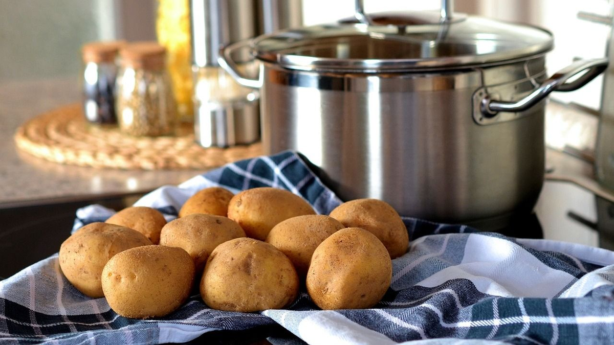 Mit tegyünk, ha kicsírázott a krumpli?